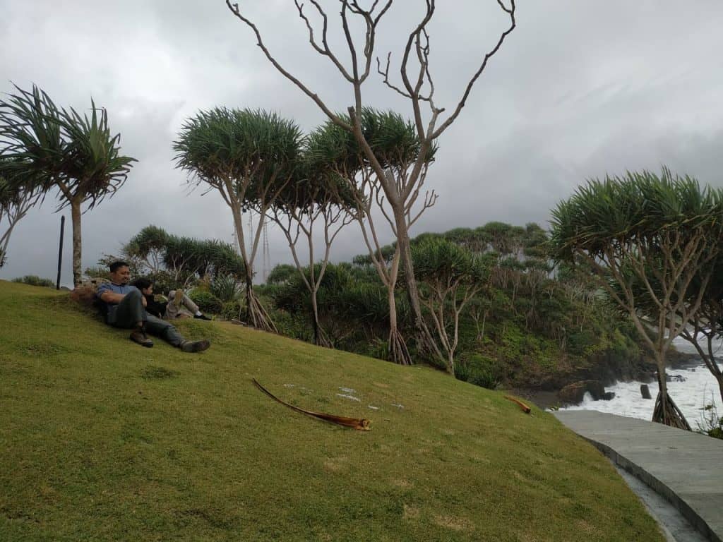 rumput hijau di pantai karangtawulan