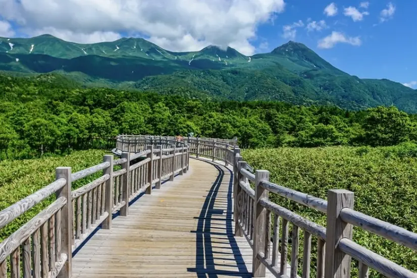 Taman Nasional Shiretoko