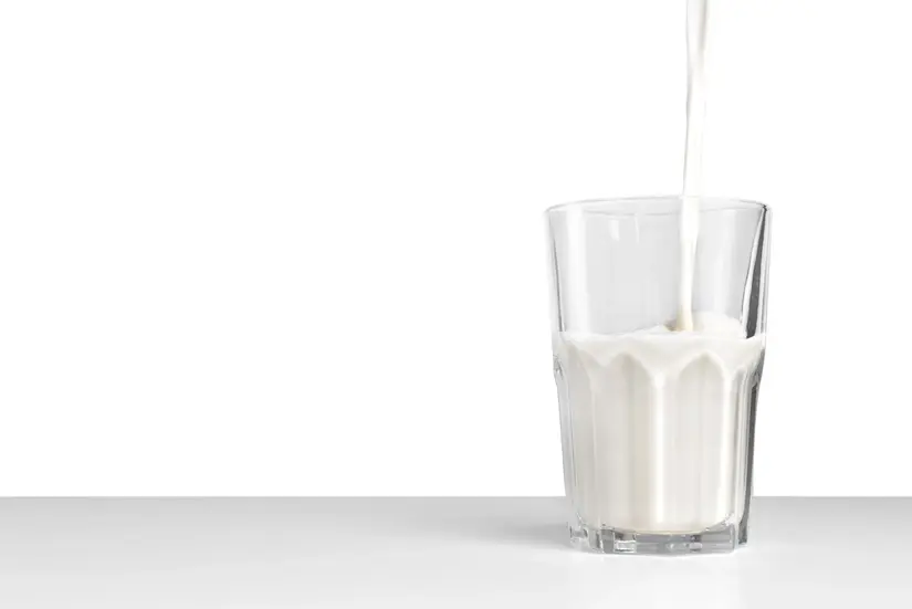 Wajib Tahu! Ini 5 Manfaat Minum Susu Segar untuk Tubuh